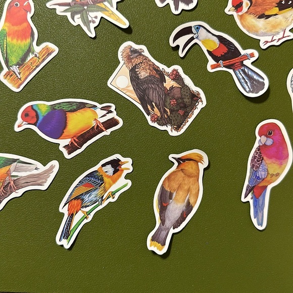 NEW Set of 14 colorful birds stickers NWOT - Picture 3 of 6